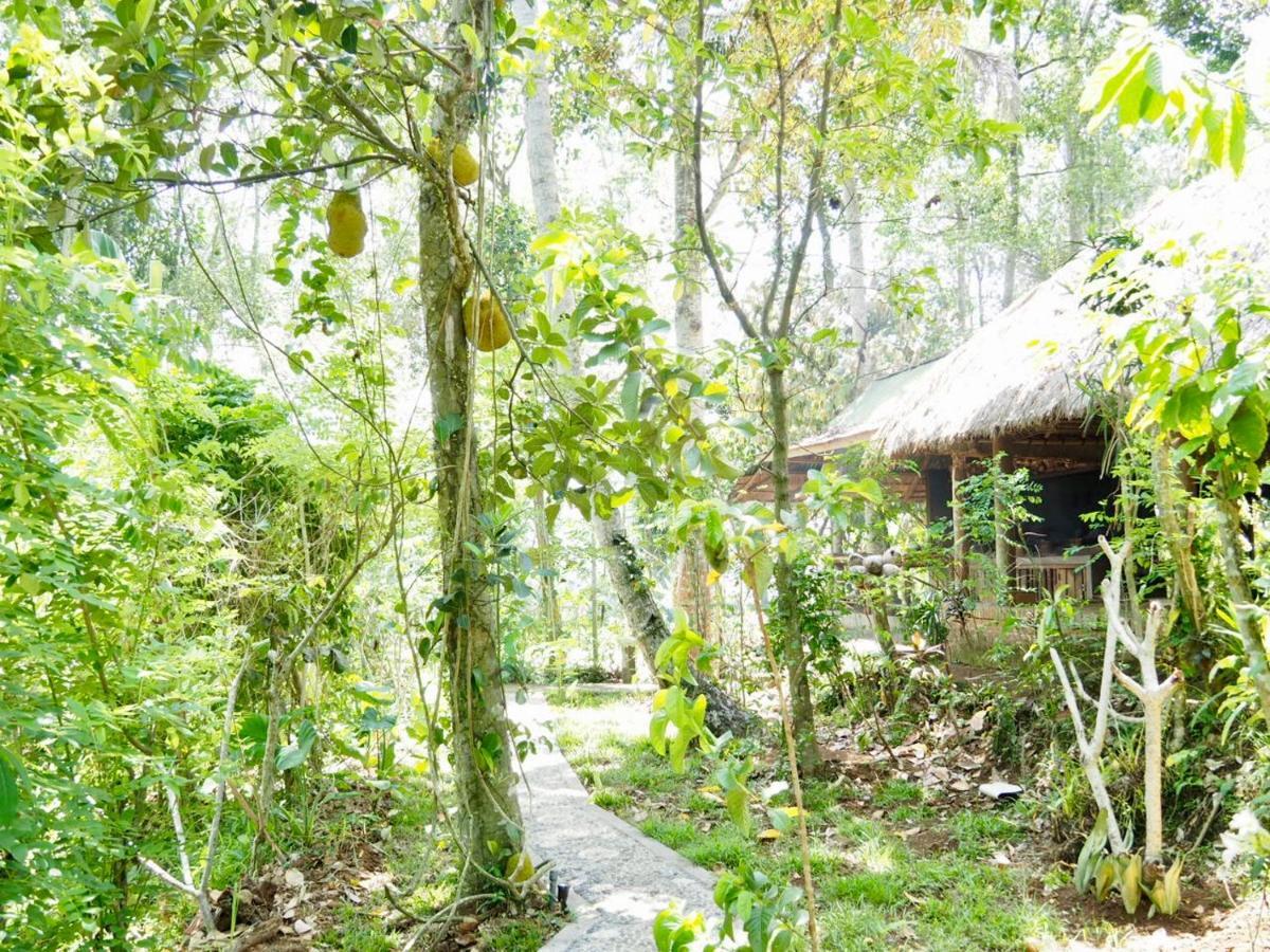 Green Vanilla Bungalow Sidemen  Exterior photo